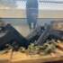 NEW Glock models in store today!