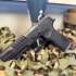 USED Sig Sauer P365 Fuse 9mm