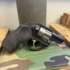 USED Ruger LCR 38Spl
